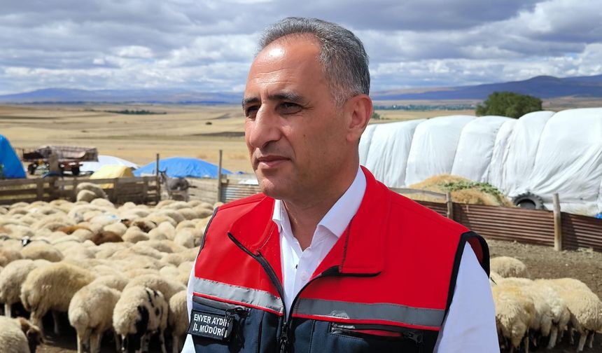 Kars'ta 1,5 milyon küçükbaş, hastalıklara karşı aşılanıyor