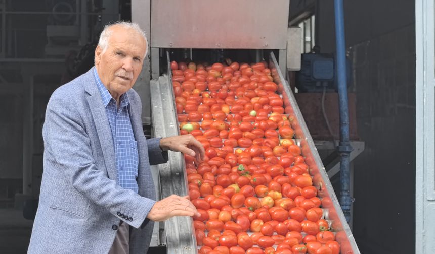 Kulacalı kadınların ürettiği 1500 ton biber salçası Hollanda'ya ihraç edilecek