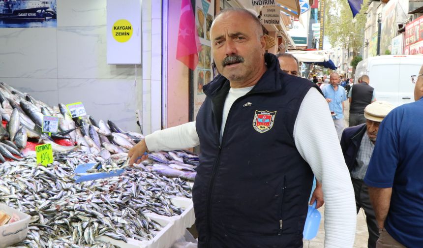 Tezgahlarda balık çeşidi arttı; Karadeniz hamsisi de yolda