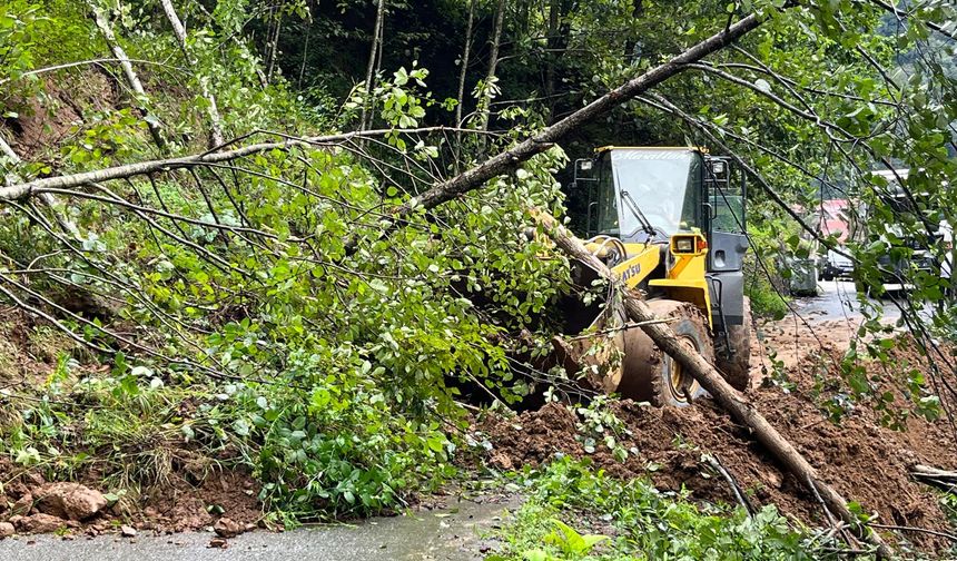 Trabzon'da sağanak; 4 ilçede toprak kayması oldu
