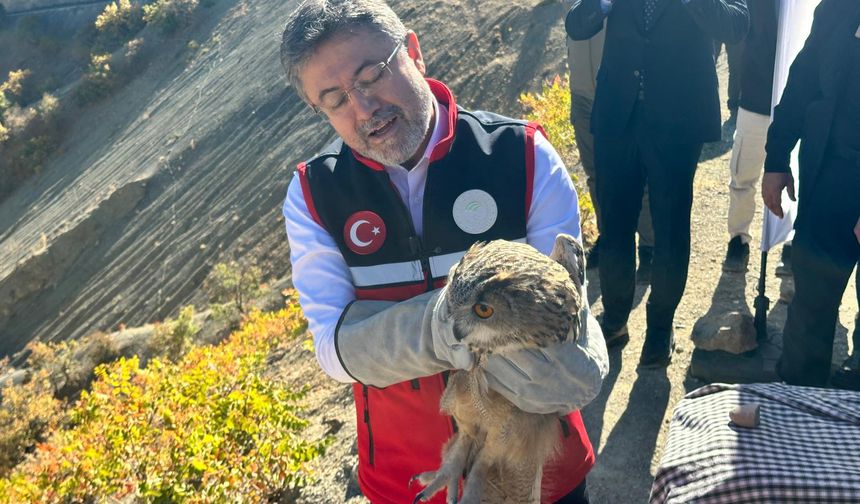 Bakan Yumaklı: Kovan varlığında 3'üncü sırada, bal üretiminde 2'nci sıradayız (2)