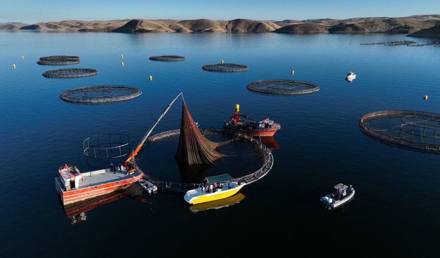 Bakan Yumaklı: Kovan varlığında 3'üncü sırada, bal üretiminde 2'nci sıradayız (3)