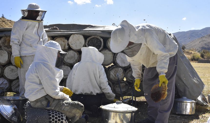 Bitlis'te kara kovan balının hasadı başladı