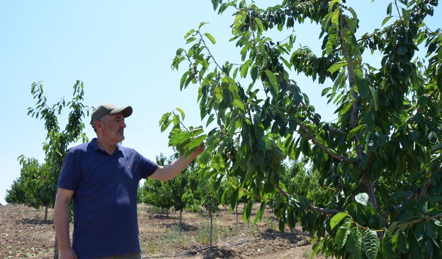 Eskişehir'de zirai dondan etkilenen 606 çiftçiye, 55 milyon lira yardım
