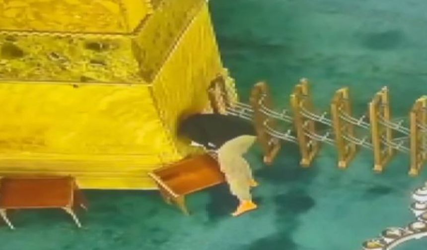 İstanbul - Ayasofya Camisi'ne kundaklama girişiminde bulunan şüpheliye 13 yıla kadar hapis talebi