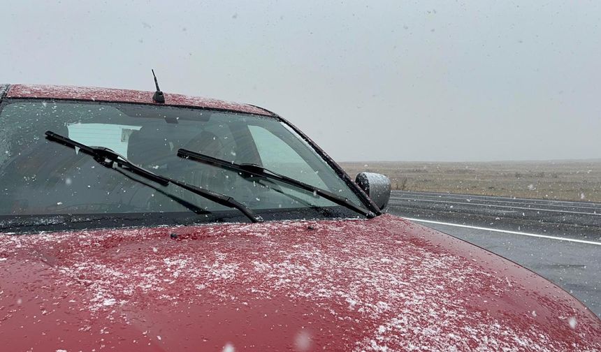 Kars ve Ardahan'da kar yağışı etkili oldu