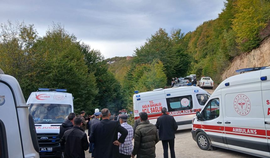 Ordu'da türbe ziyaretinden dönen minibüs devrildi, 11 yaralı