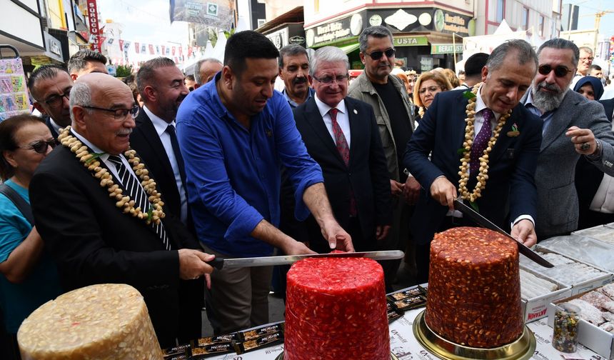Osmaniye'de 'Yer Fıstığı Festivali' başladı