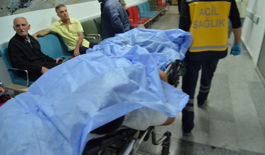 Otostop çektikleri aracın sürücüsünü darbedip, bıçakladılar