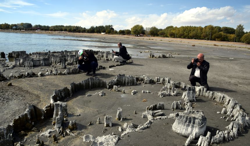 Van Gölü'nün çekilmesiyle ortaya çıkan mikrobiyalitlere fotoğrafçı ilgisi