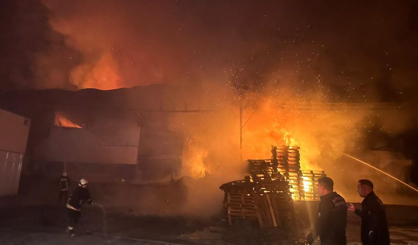 Antalya'da paketleme fabrikasında yangın/Ek fotoğraflar