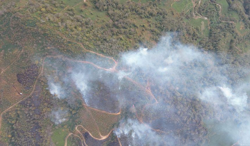 Artvin'de örtü yangını ormana yayıldı (2)