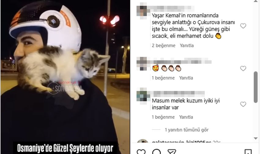 Motosiklet sürücüsü yolda bulduğu yavru kediyi sahiplenip omzunda eve götürdü