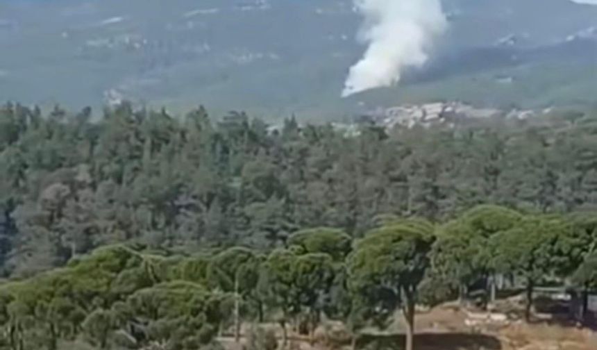Muğla'da 1 hektar orman yandı /Video eklendi