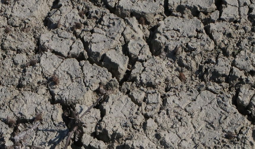 Seyhan Baraj Gölü'nde sular çekilince eski köprü gün yüzüne çıktı