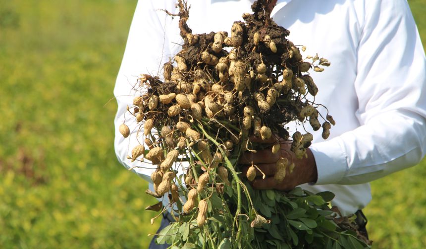 Tarımda su kıtlığının önüne geçebilmenin en iyi yolu; modern sulama sistemleri