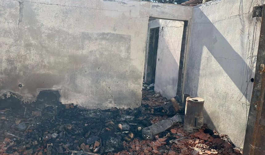 Yangında 30 kedisiyle ölen İzmirli hayvanseverin arkadaşları konuştu