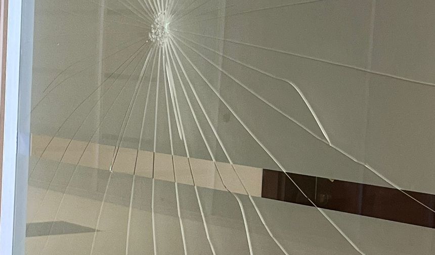 Ağabeyi ceza aldı, karar sonrası mahkeme salonunun camına yumruk attı