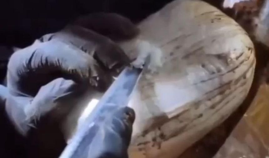 Ağrı'da uyuşturucu operasyonu: 5 tutuklama