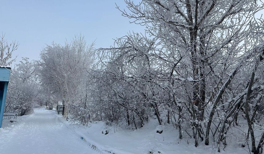 Eksi 19,1'i gören Ağrı'da su deposu buz tuttu