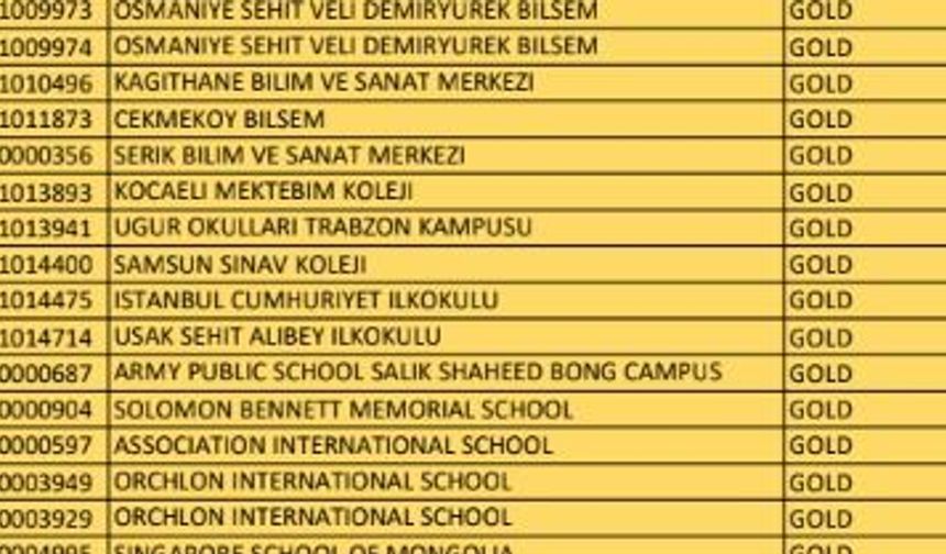 Matematik şampiyonu Lina, Singapur yolcusu