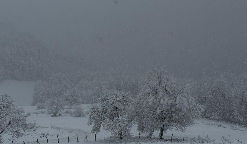 Samsun'un yüksek kesimlerinde kar etkili oldu