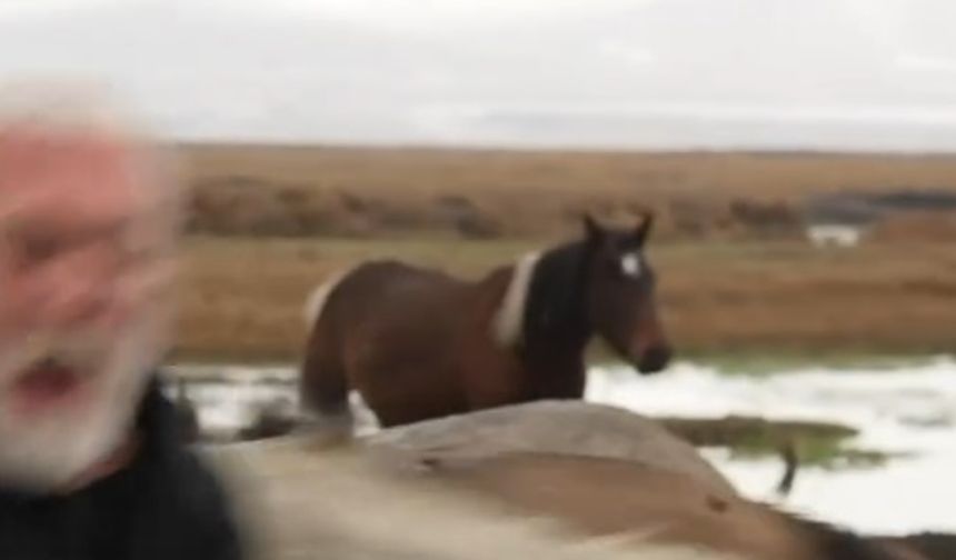 Sanatçı Onur Akın'a, klip çekimi sırasında at çarptı