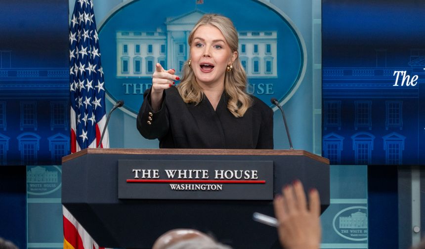 ABD ile Danimarka, Grönland'ın satın alınması konusunda teknik görüşmeler yapacak