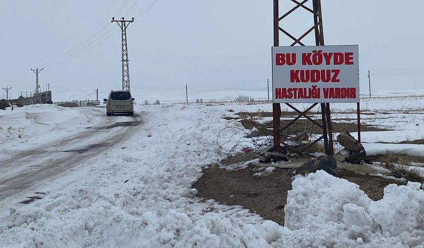 Adilcevaz'da kuduz vakası tespit edilen köy, karantinaya alındı