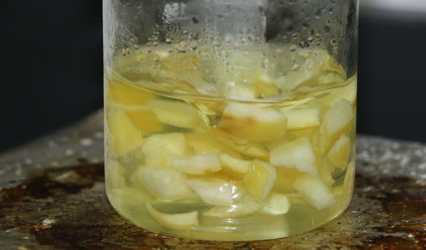 Ağaç kavunu kabuğundan 'süper emici hidrojel' geliştirdiler