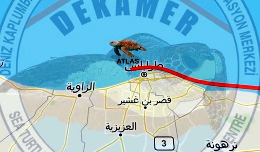 Arka yüzgeci ampute edilen 'Atlas', dünyayı dolaşıyor