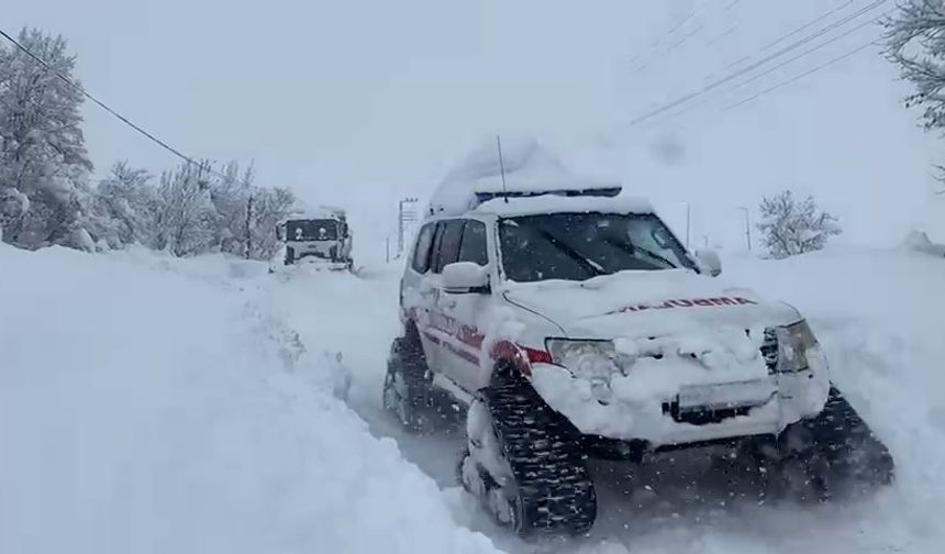 Beytüşşebap'ta kar kalınlığı 2 metreyi buldu (2)