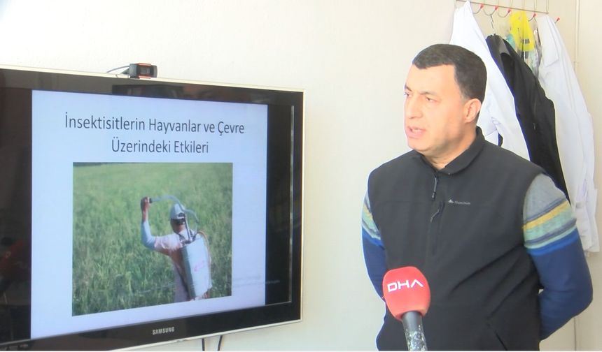'Bilinçsiz haşere ilacı kullanımı gıdayı ve doğayı tehdit ediyor'