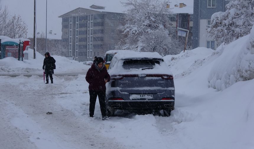 Bitlis'te kardan 229 yerleşim yerinin yolu kapandı