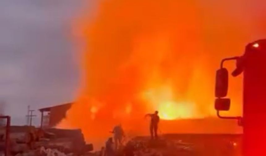 Bursa'da palet fabrikasında yangın