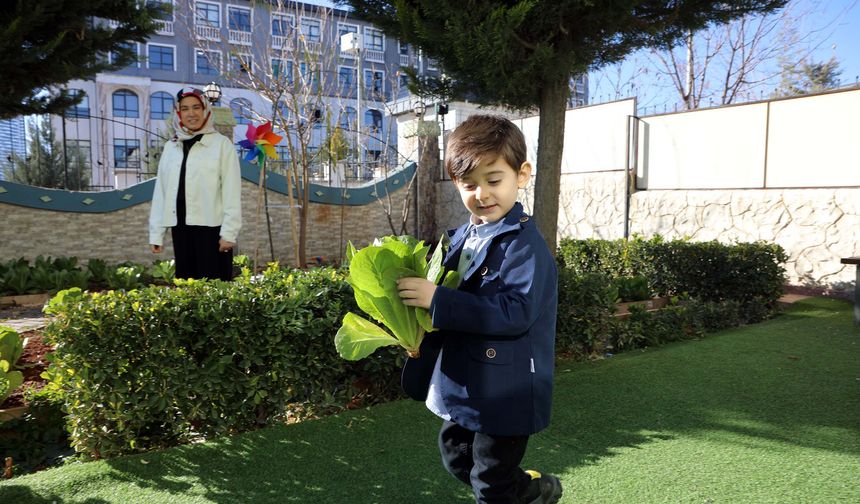 Diyabetli çocuklarına kreş bulamayan çift, işlerinden istifa edip kendi merkezlerini açtı