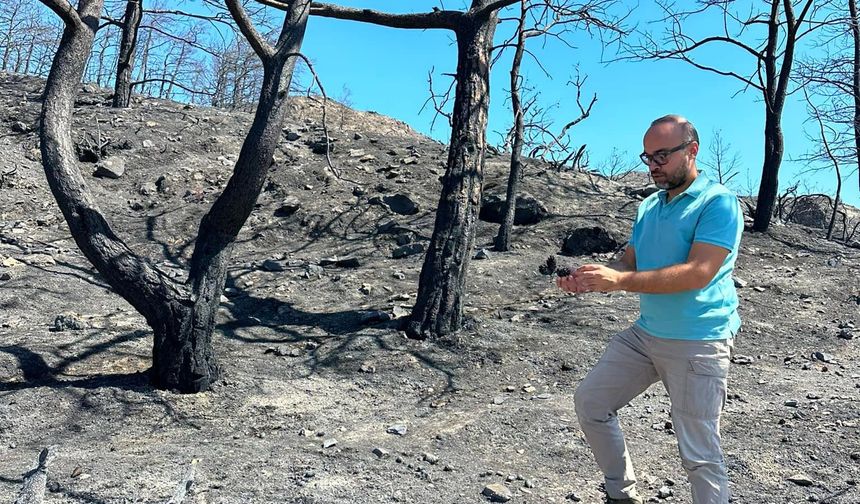 Dr. İlemin: Karakulak türünü Akdeniz ekosistemi için gösterge tür olarak tescilledik