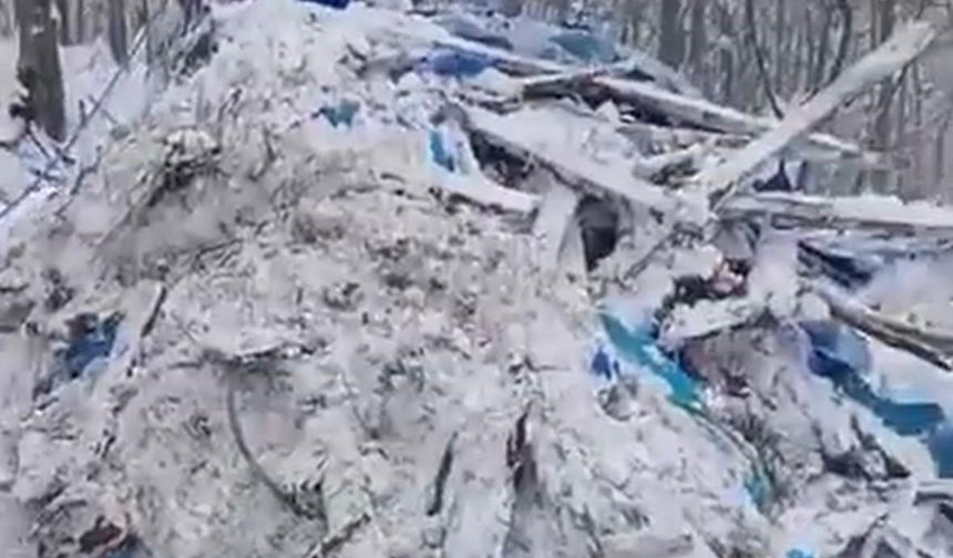 Ordu'da kardan çatısı çöken ağıldaki 7 koyun öldü