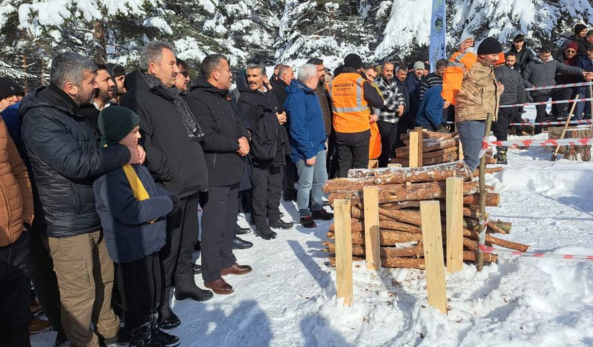 Ordu'da Keyfalan Yayla Kış Festivali yapıldı