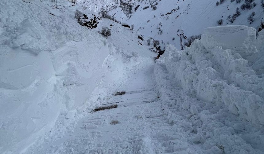 Şırnak'ta kapanan köy yolları açıldı, çığ altındaki evler çıkarıldı