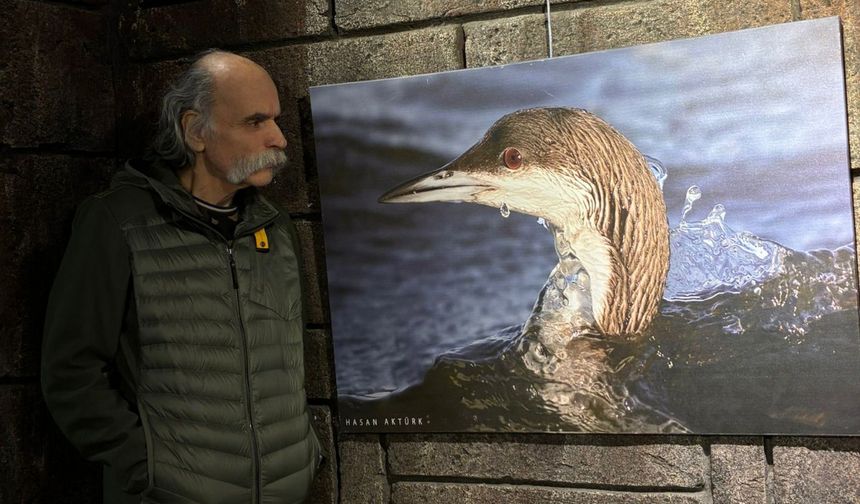 Kuş Cenneti'nden kareler