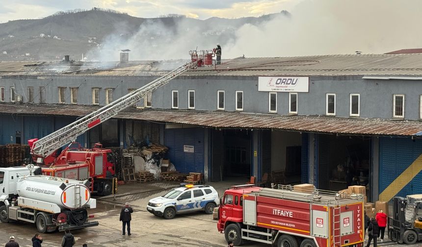 Ordu'da market deposu ve bitişiğindeki iş yeri yandı