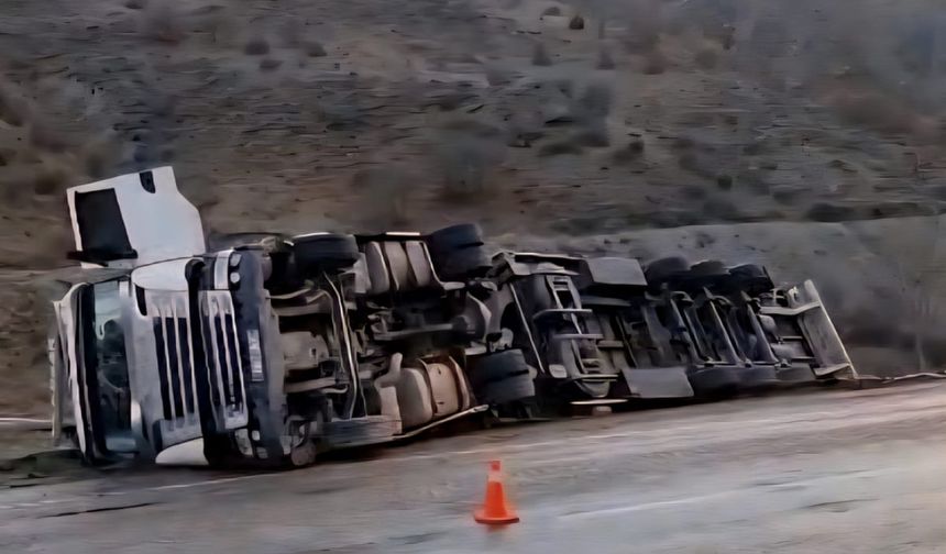 TIR şarampole devrildi