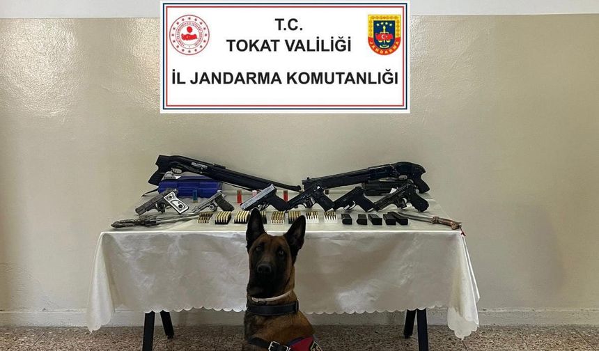 Tokat'ta silah ve mühimmat kaçakçılığı operasyonu: 5 gözaltı