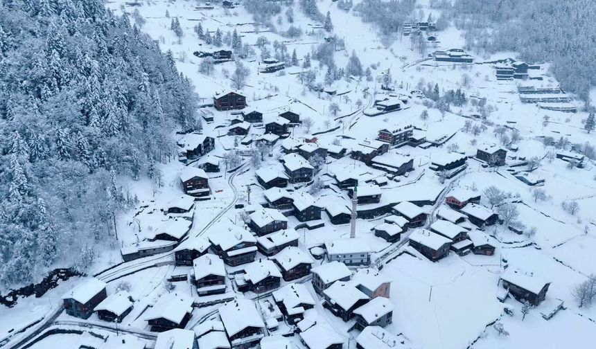 Uzungöl'de kar yağışı sonrası seyirlik manzaralar