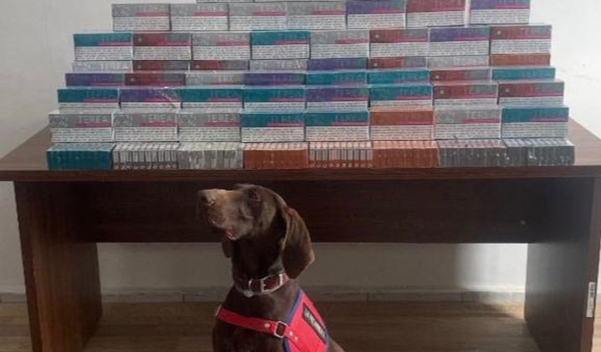 Yurt dışından yurda sokulan binlerce elektronik sigara kiti ele geçirildi