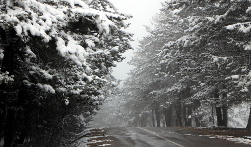 Abant, beyaz örtüyle kaplandı