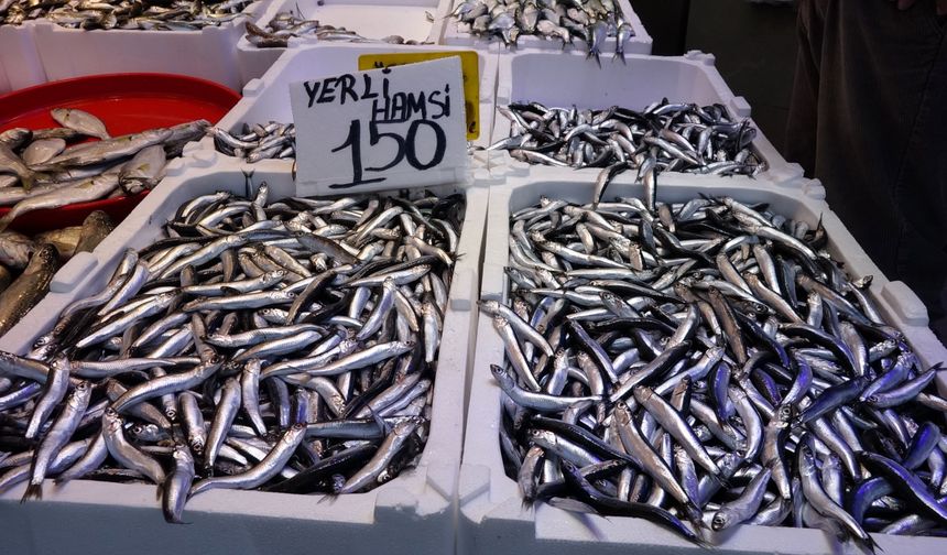 Bayram öncesi balık tezgahlarında çeşit bolluğu
