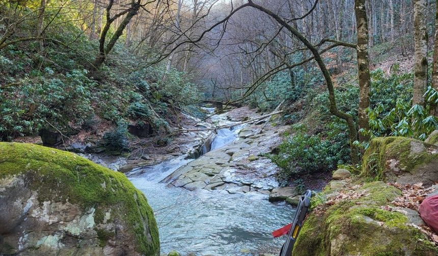 Dereye düşme tehlikesi geçirdi, yardım eden akrabalarıyla uçuruma yuvarlandı: 1 ölü, 3 yaralı