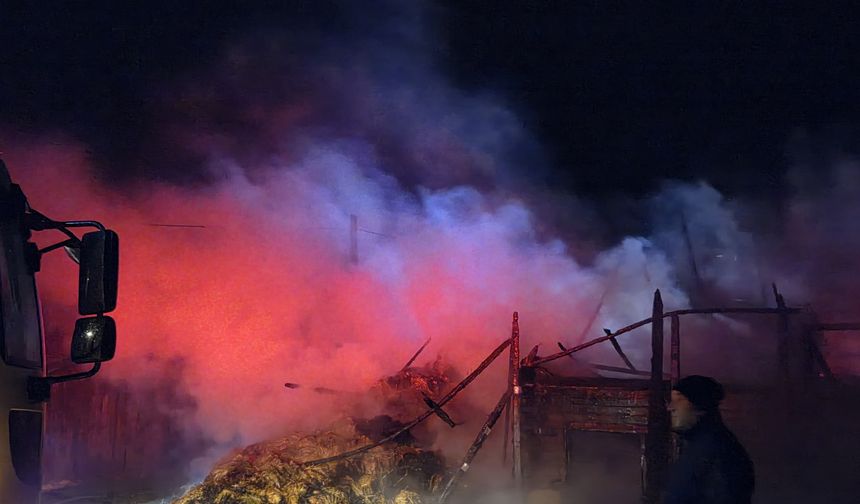 Karabük'te samanlık yangını